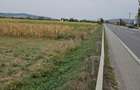 Teren intravilan 2.900 mp la DN17, Uriu front 18,5 m, toate utilit - 4