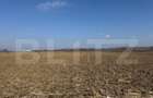 Teren extravilan de 2900 mp, în Central - 2
