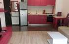 Apartament cu 2 camere semidecomandat în Parcul Carol - 4