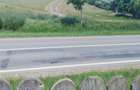 Casă cu 3 camere cu Teren 1040 Mp în Voinești (Vulturești) - 4