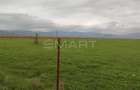 Teren Construcții de 30000 mp, în Prejmer - 2