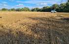 Teren Intravilan Jilava 22.000 mp Ideal Industrial / Logistic / Re - 4