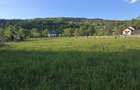 Teren de vanzare intre Borsa si Moisei Maramures! - 1