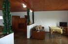 Sannicoara casa + teren 3800 mp, spa?iu, lini?te ?i poten?ial real - 3