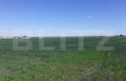 Teren cu suprafata de 3 ha, front 52 m, zona Calea Aradului - 1