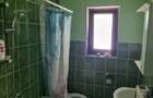 Casă cu 5 camere în Anina - 4