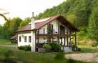 Cabana premium mobilata, 6 camere, 1,68 ha livada si balta, aproape de Deva - 8