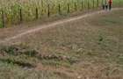 Vanzare teren intravilan si extravilan - 3