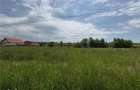 Teren Intravilan - Zona Bod - 8