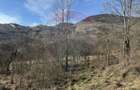 Casa din piatra la poalele Bedeleului Izvoarele, Alba - 13