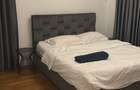 Apartament cu 2 camere decomandat în Herăstrău - 6