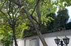 Duplex cu 7 camere cu Canalizare în Iancu Nicolae - 5