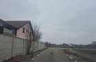 Vanzare teren Balotesti - 5