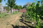 Casă cu 4 camere în Măgurele - 5