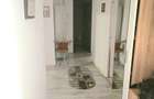 Apartament de vanzare - 2