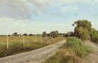 Teren extravilan de 5451 mp, în Năvodari - 7