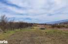 Teren Valea Chintaului, Cluj de vanzare - 6
