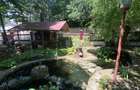 Domeniu Privat - Rosu/ Chiajna - Ilfov - 11