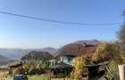 Proprietate 4 hectare in sat Barbura, judet Hunedoara - 8