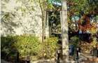Apartament 2 camere, cota parte de 1/4 Bucuresti, ID: R28... - 4