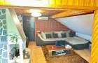 Apartament cu 5 camere decomandat în Cantacuzino - 26