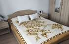 Vand sau schimb cu apartament, casa cu gradina - 7