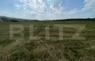 Teren extravilan 1200 mp Dorolea, aproape de Manastire - 5