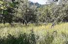 Teren intravilan 1935 mp, cadastrat, deschidere la strada 23ml. - 4
