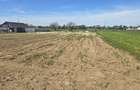 Teren 500 mp Dărăști Ilfov | Lângă pădure și râul Argeș | Deschidere 27 ml - 3