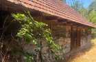 Vand casa zona Brusturi, jud. Arad - 4