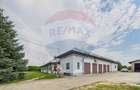 Proprietate specială, de 937 mp, în Dragomirești-Deal - 3