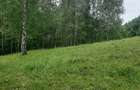 Terem de vanzare Setea Potoc 13.000 m2 - 12