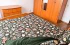 Apartament cu 2 camere decomandat în Giurgiului - 16
