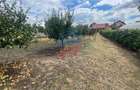 Casa in localitatea Zanoaga- Dolj - 9
