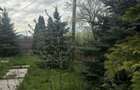 Cornu - casa P+M - teren 506mp - 190000 Euro - 14