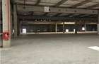 Spatiu Industrial - 7000 mp - Logistica - Productie - Depozitare - Distributie - 3
