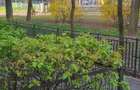 Inchiriere 3 camere Drumul Taberei langa metrou Favorit - 8
