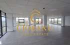 Hale industriale+Cladire de Birouri de inchiriat zona Aeroport - 15
