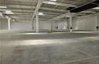 Spatiu Industrial - 9500 mp - Logistica - Productie - Depozitare - Distributie - 17