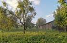 Vand teren intravilan 7410 mp in Sasca Mare, Suceava - 14
