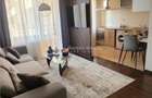 Studio de lux in zona Zoo, renovat complet - 9