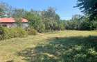 Casă cu 3 camere cu Teren 4658 Mp în Ghimpați - 4