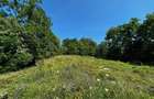 Exclusivitate Teren Panoramic in SLANIC PRAHOVA - 2