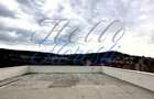 Penthouse superb, zona Stejarului - 3