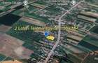 2 Loturi Teren Intravilan 1500 MP Tartasesti Deschidere 30 M / 36 M Utilitati - 8