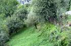 Casă cu 7 camere cu Canalizare în Moieciu de Jos - 36