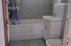 Apartament 3 Camere de Inchiriat. Sebes - 8