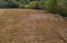 Teren Intravilan Jilava 22.000 mp Ideal Industrial / Logistic / Re - 5