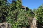Cota de 3/64 Casa si teren com. Cizer, str. Principala, jud. Salaj - 4