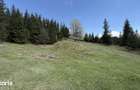 Teren 1.29 ha + 1 ha padure, acces u?or - 1